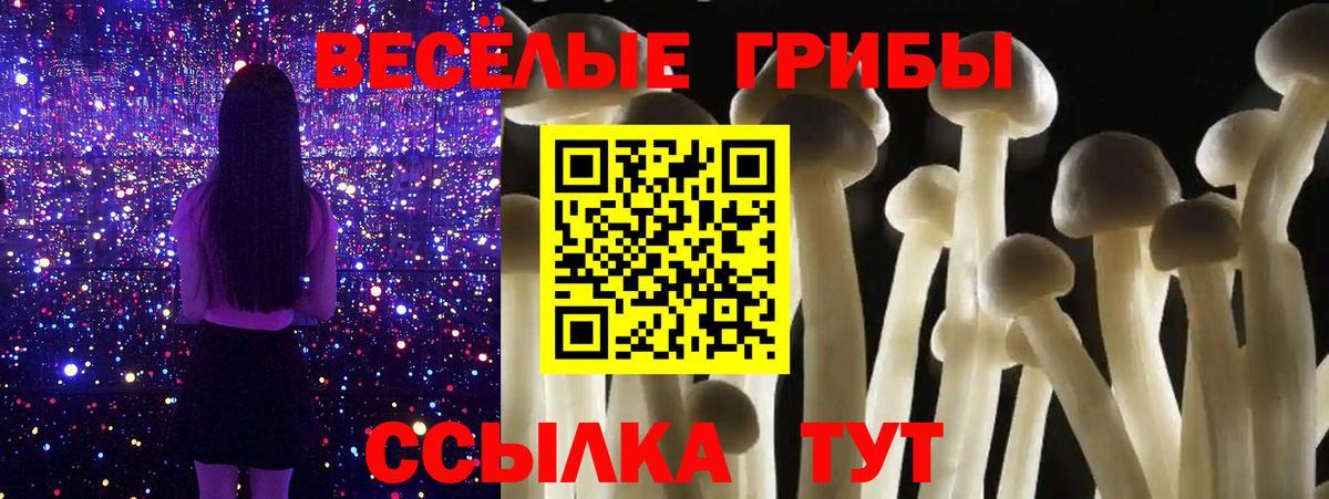 Псилоцибиновые грибы ЛСД Протвино